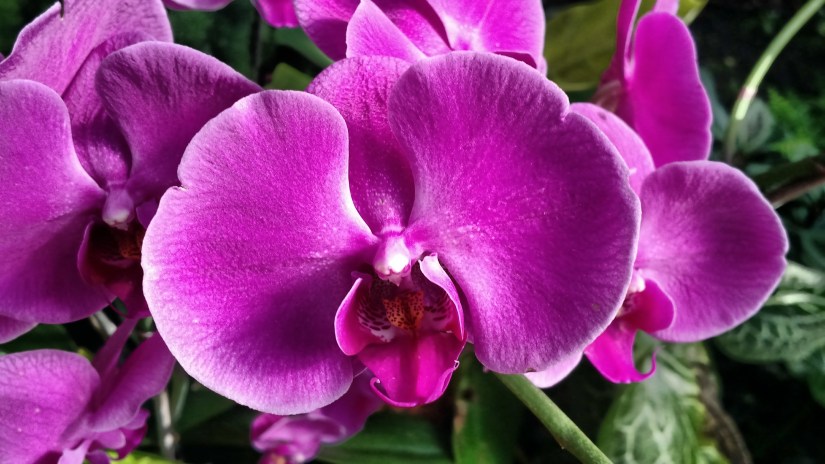 IMG_20171021_101844429